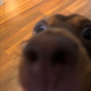 Meet your Posher, Stacy